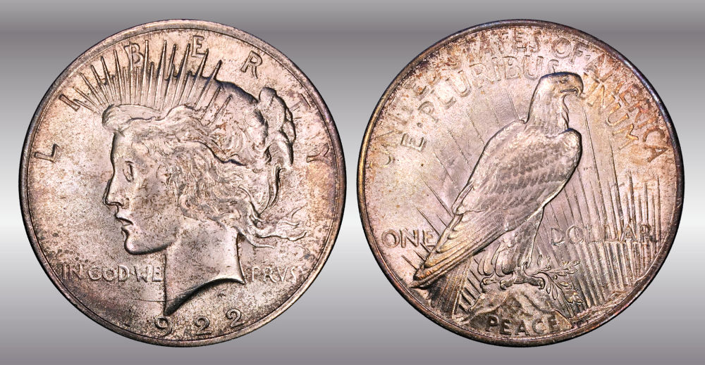 My-Raw-Peace-Dollar-Collection.-.-.-.-Warning!
